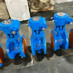 Harga Butterfly Valve 6 Inch ASTM 126 GR 6 CLASS 150 1.1