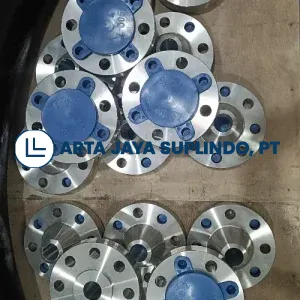 Jual WN Flange SS316 Class 900 1.2.